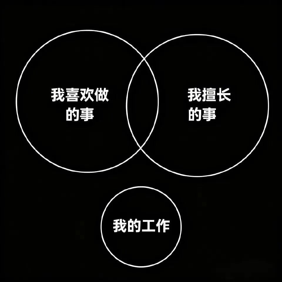 每日meme