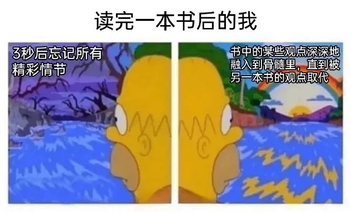 每日meme