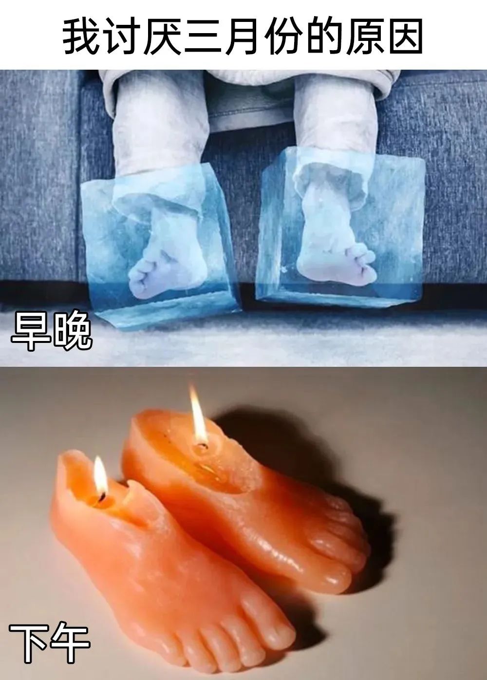 每日meme