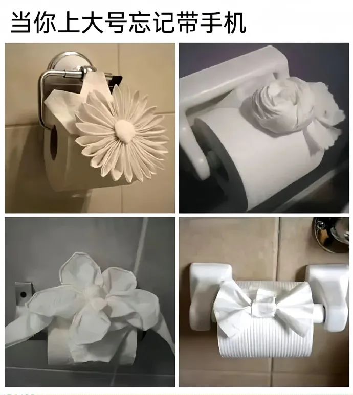 每日meme