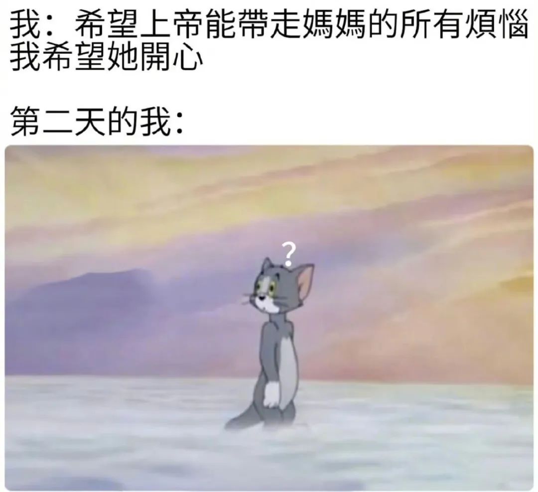 每日meme