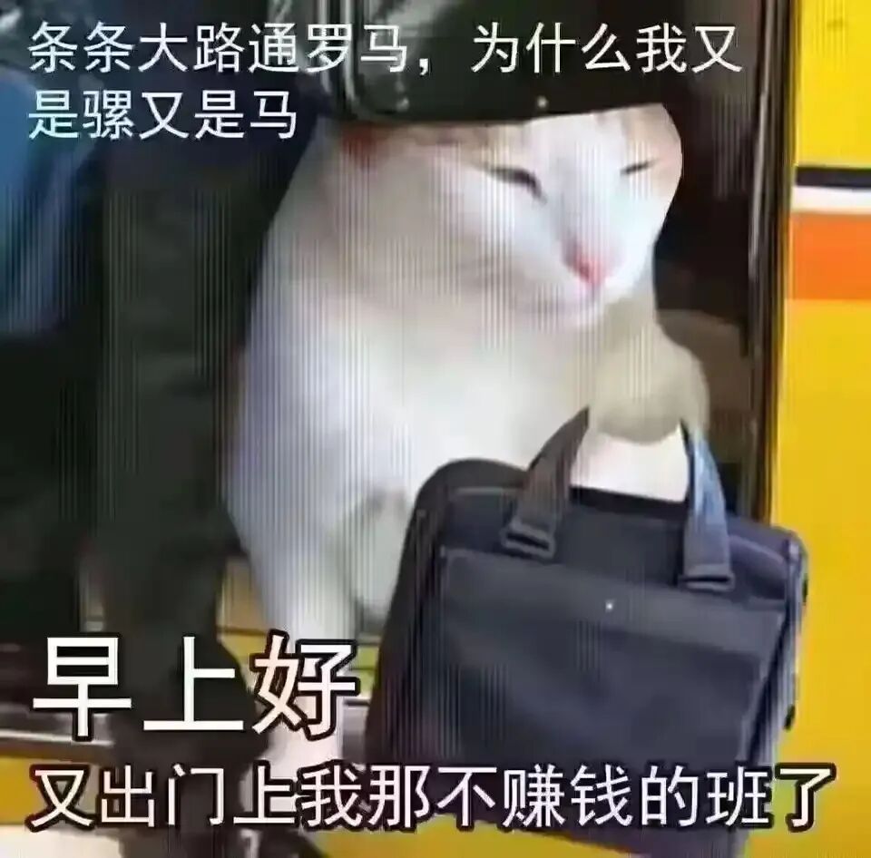 每日meme