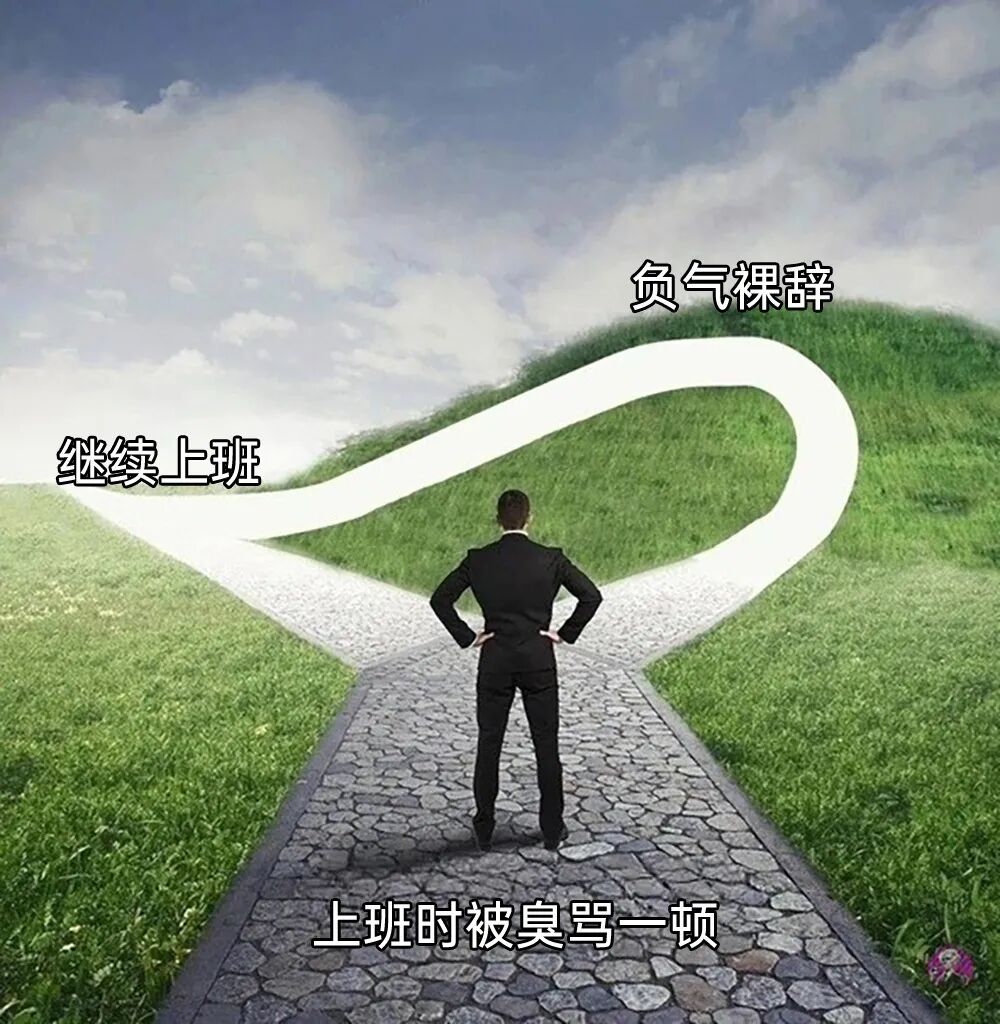 每日meme