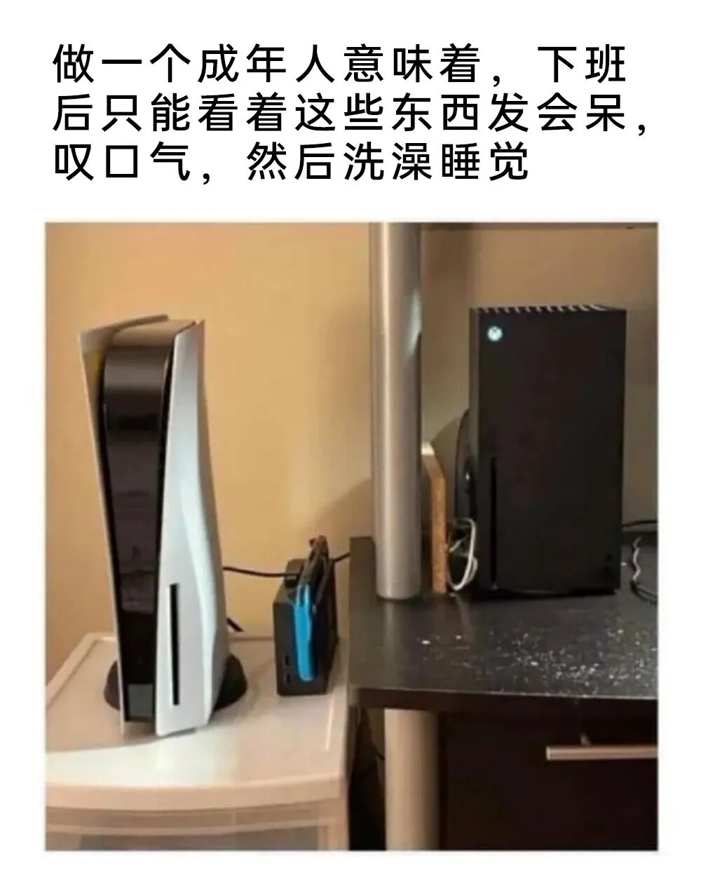 每日meme