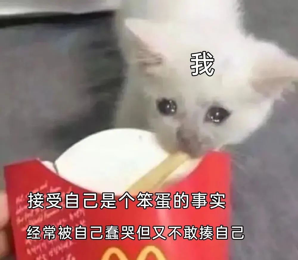 每日meme