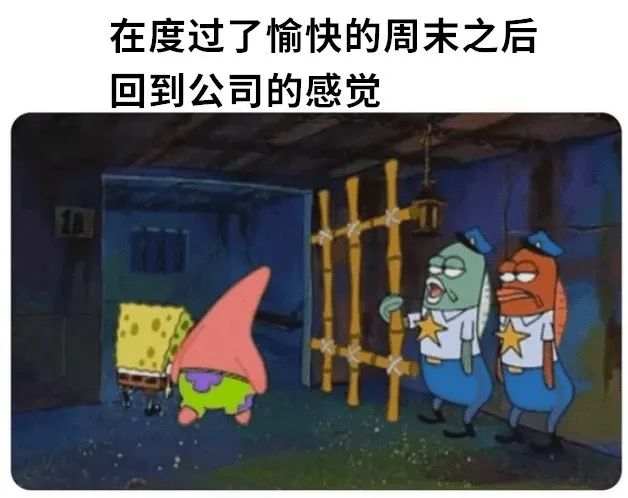 每日meme