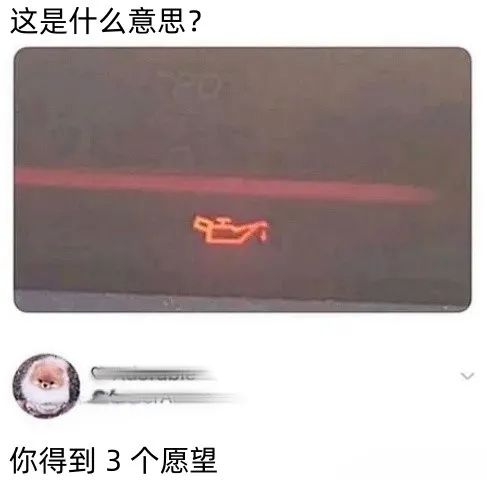 每日meme