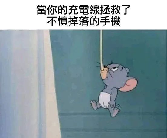 每日meme