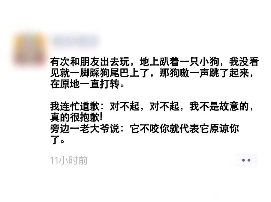 每日meme