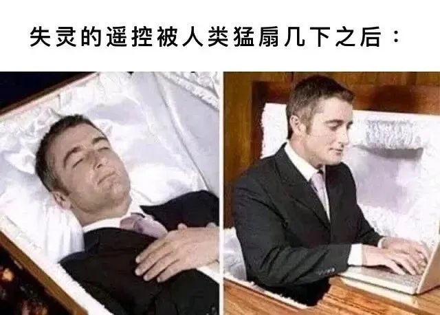 每日meme