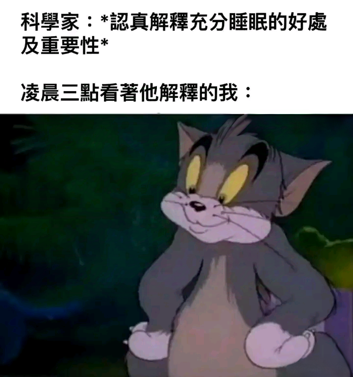 每日meme
