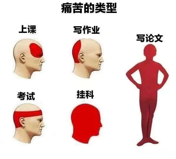 每日meme
