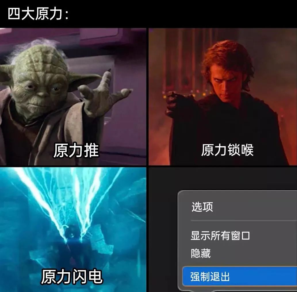 每日meme