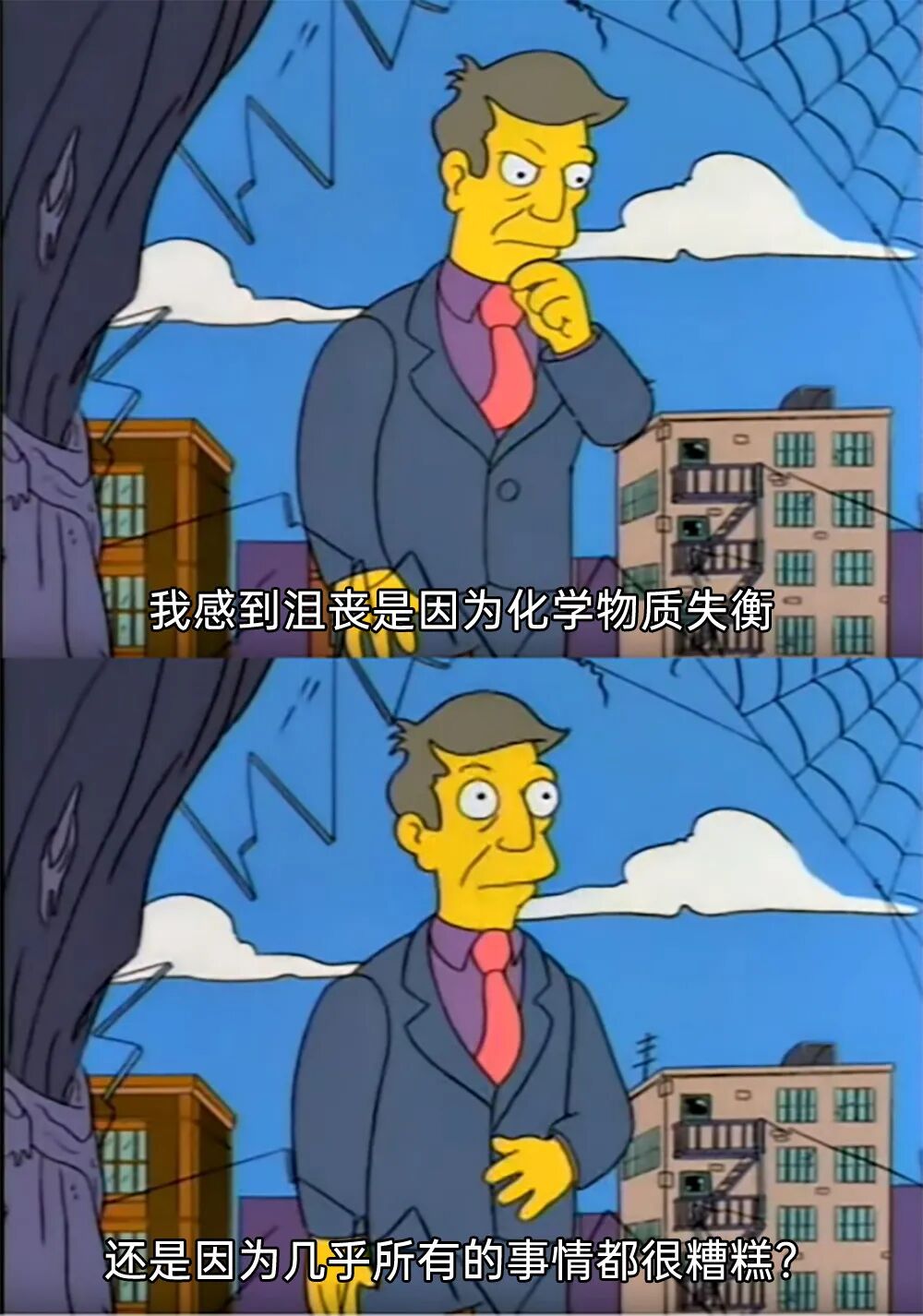 每日meme