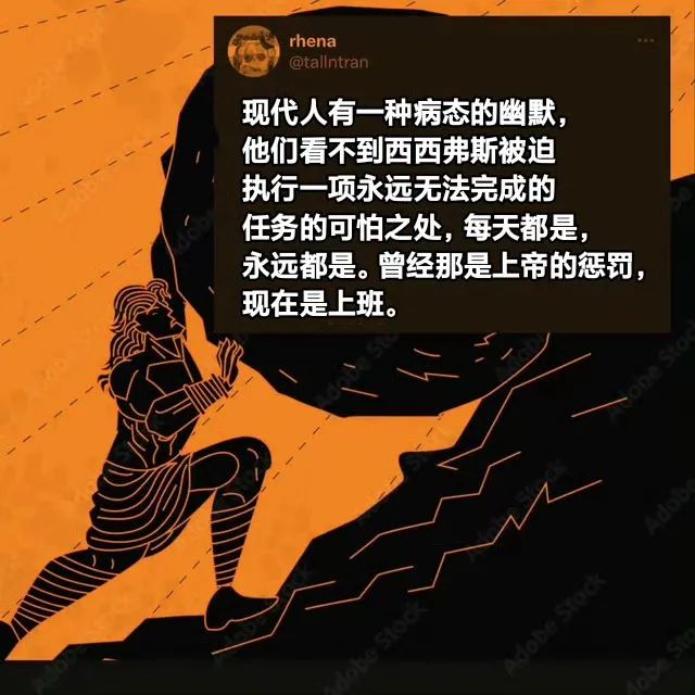 每日meme