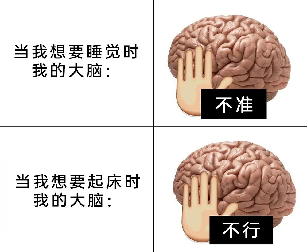 每日meme