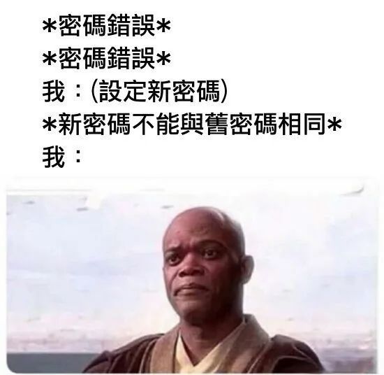 每日meme