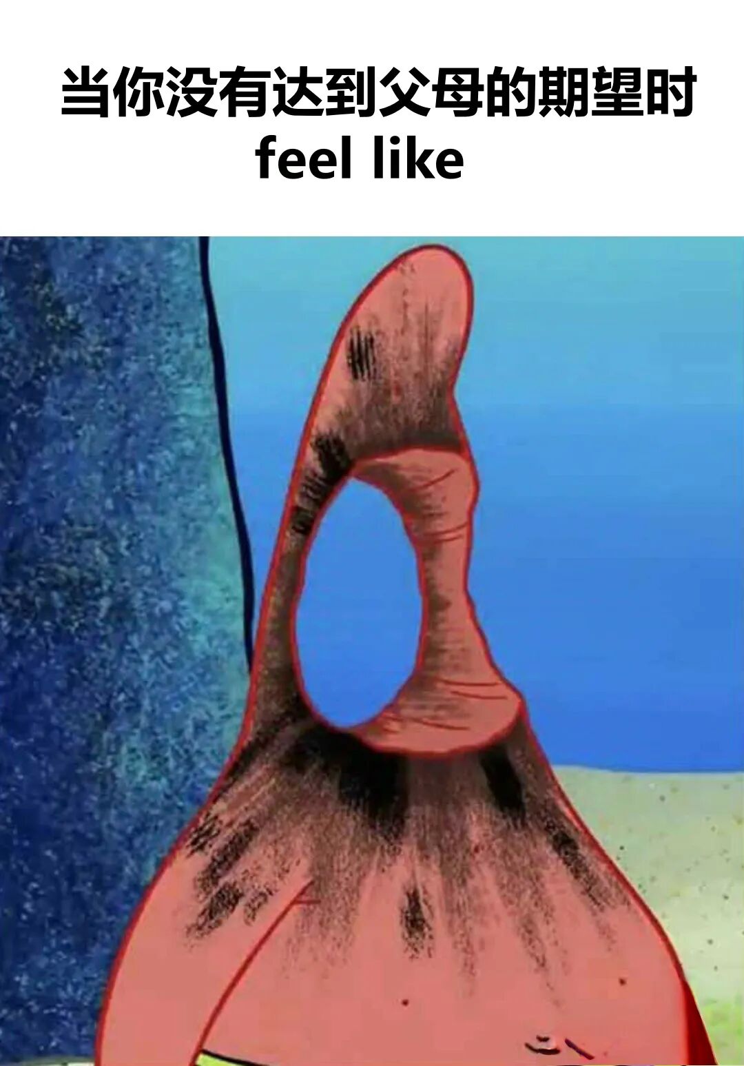 每日meme