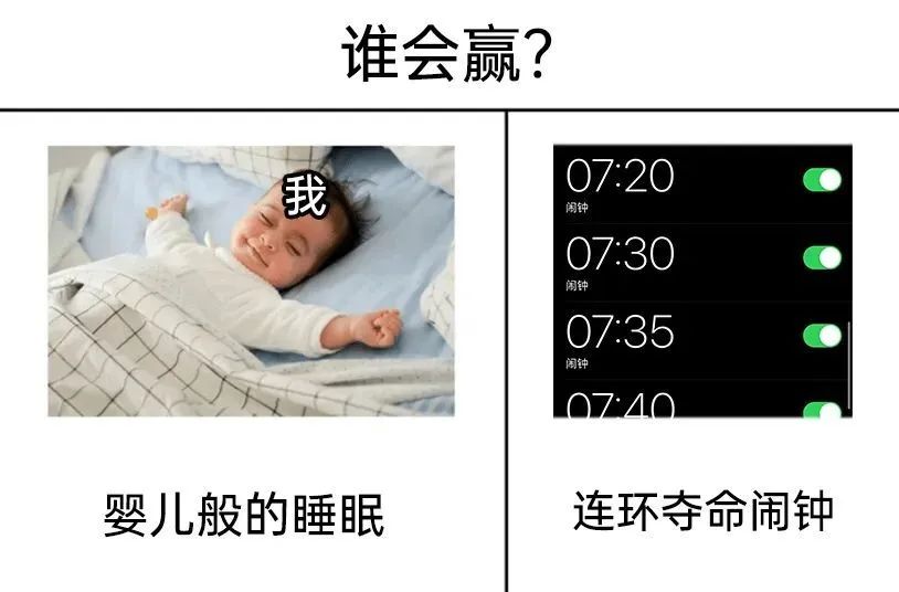 每日meme