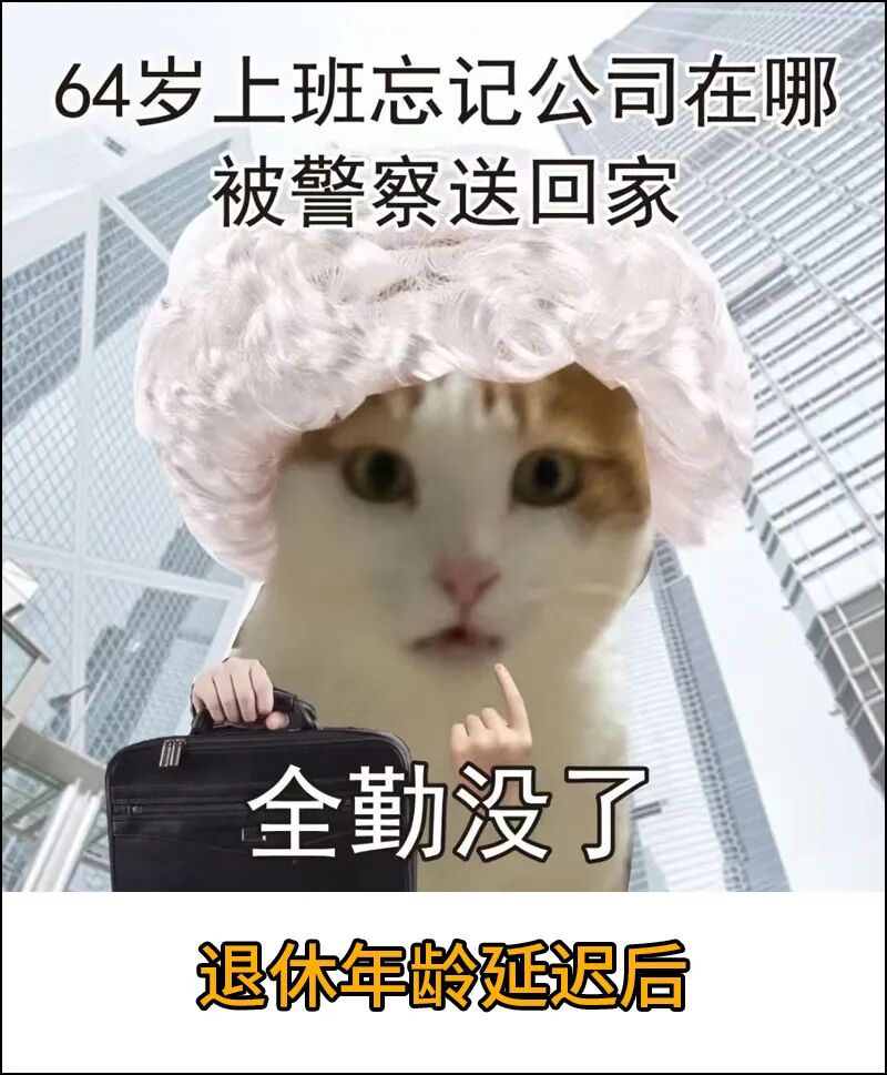 每日meme