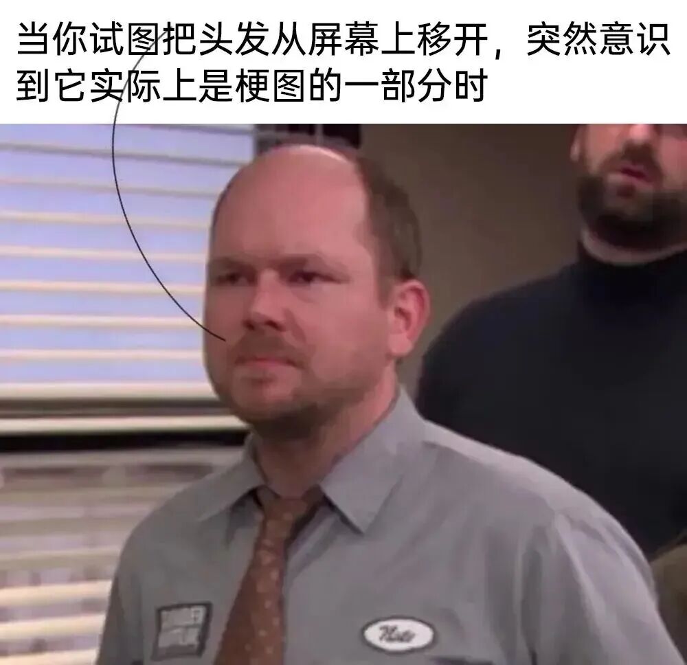 每日meme