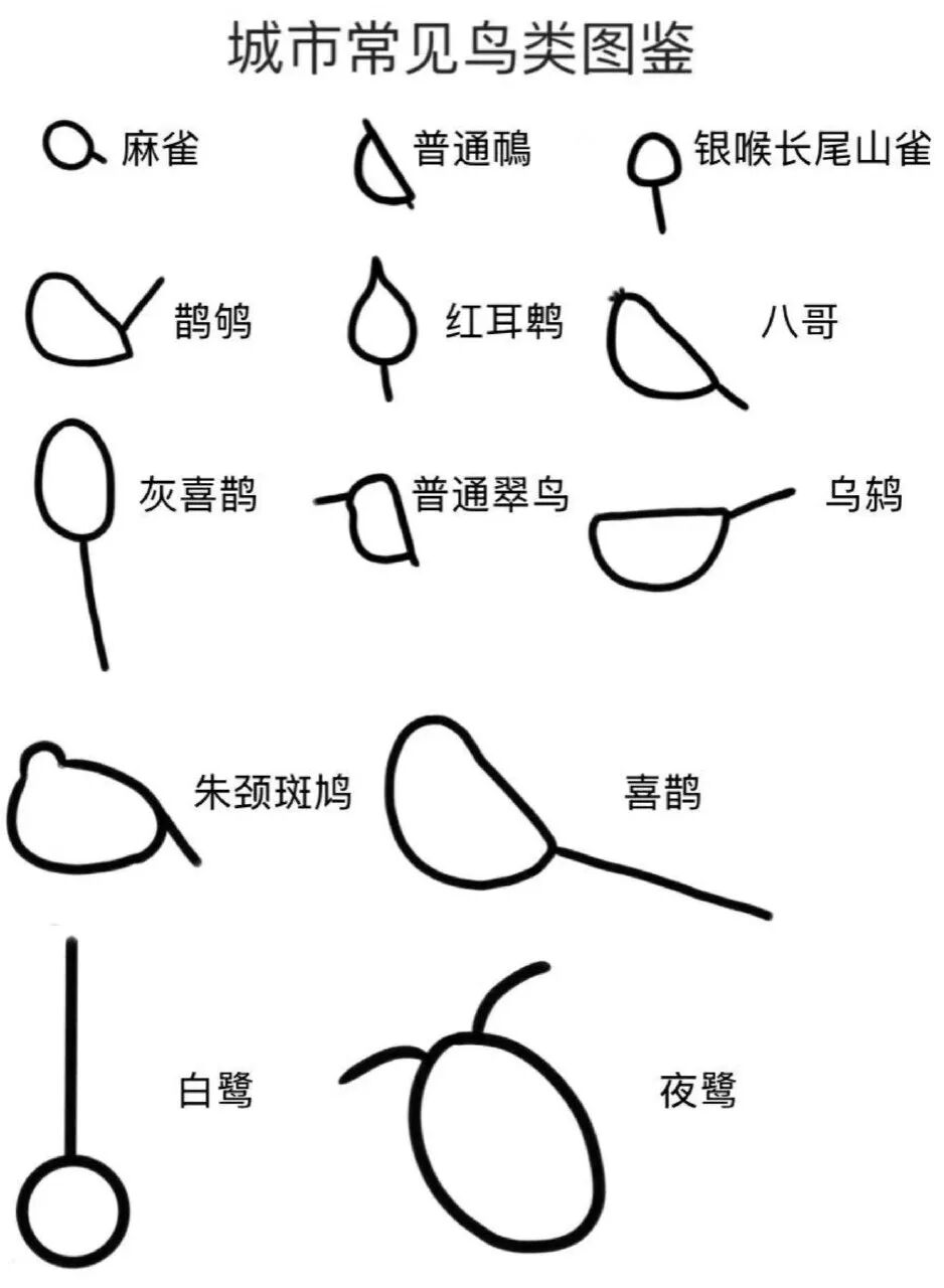 每日meme