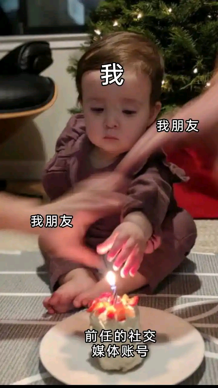 每日meme