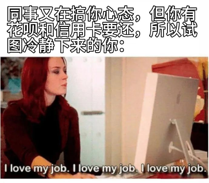 每日meme