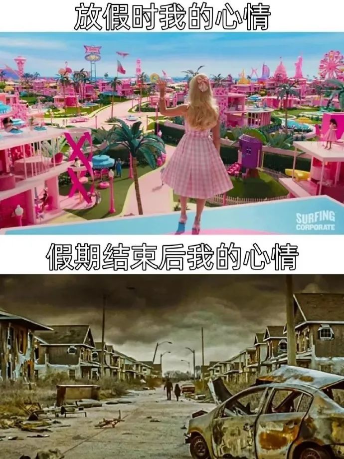 每日meme