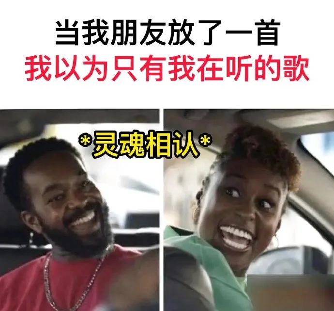 每日meme