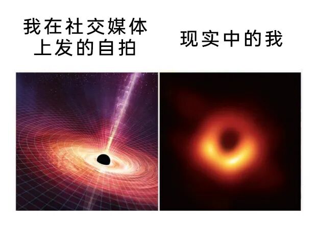 每日meme