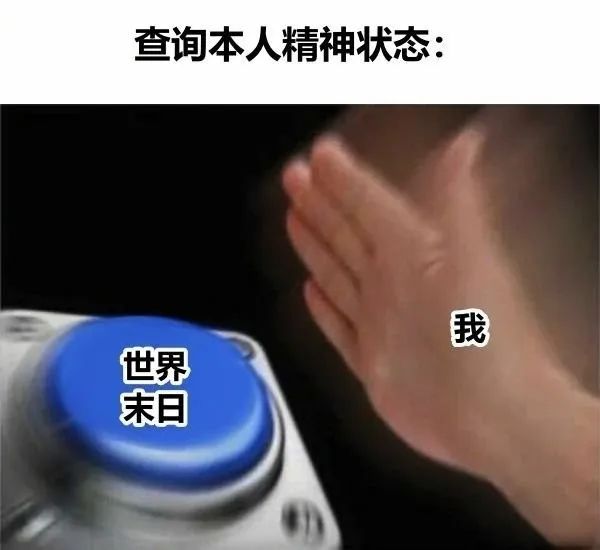 每日meme