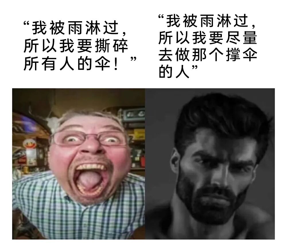 每日meme