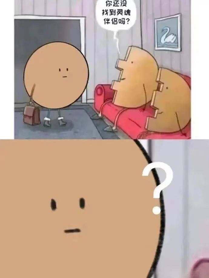 每日meme