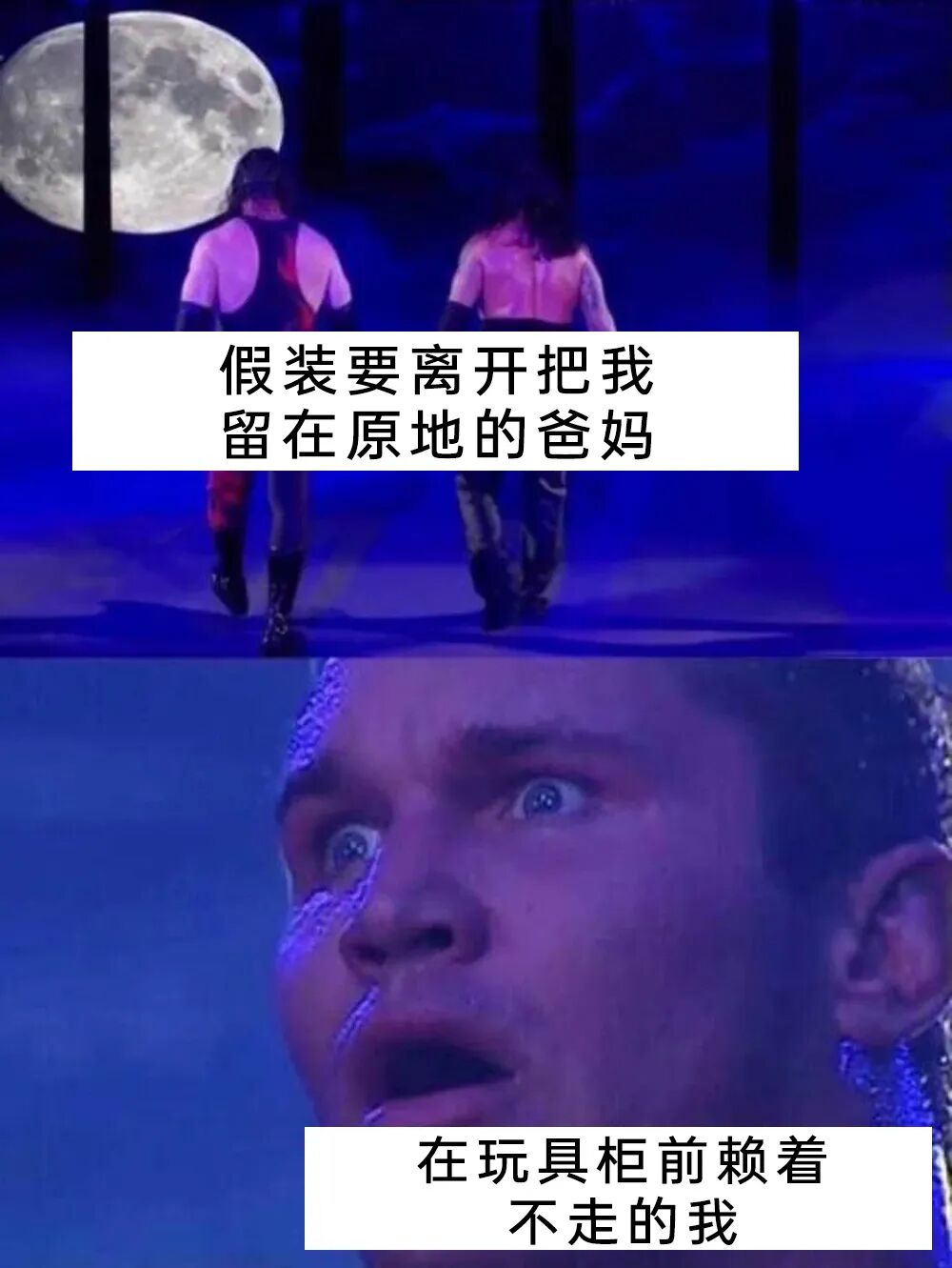 每日meme
