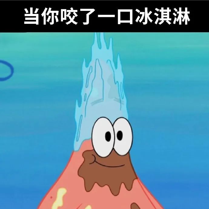 每日meme