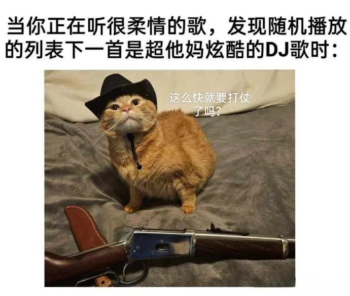 每日meme