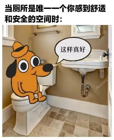 每日meme