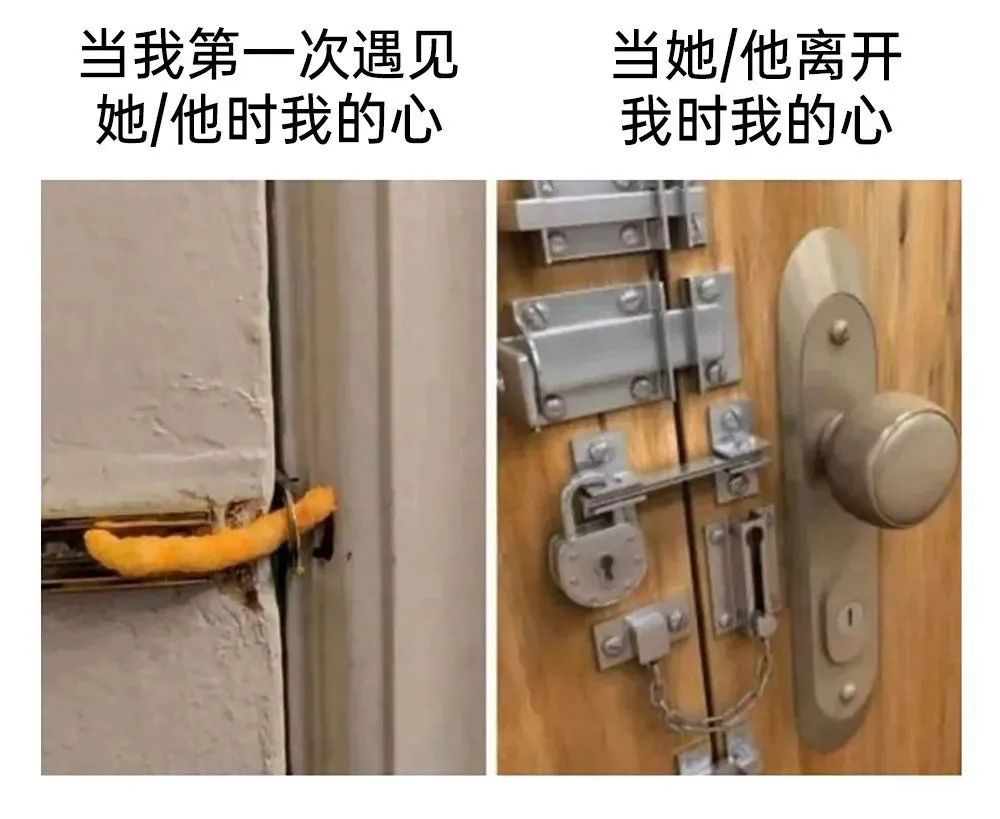 每日meme
