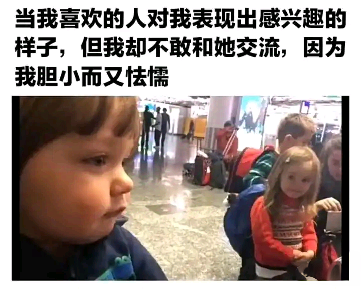 每日meme