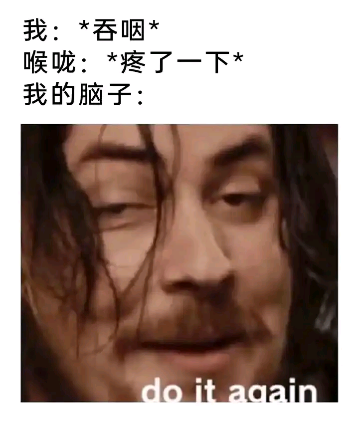 每日meme
