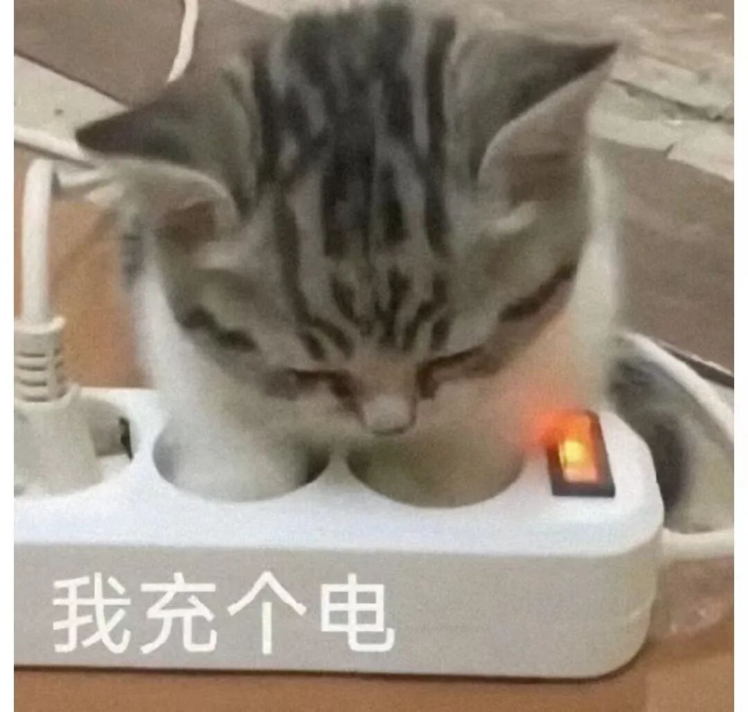 每日meme