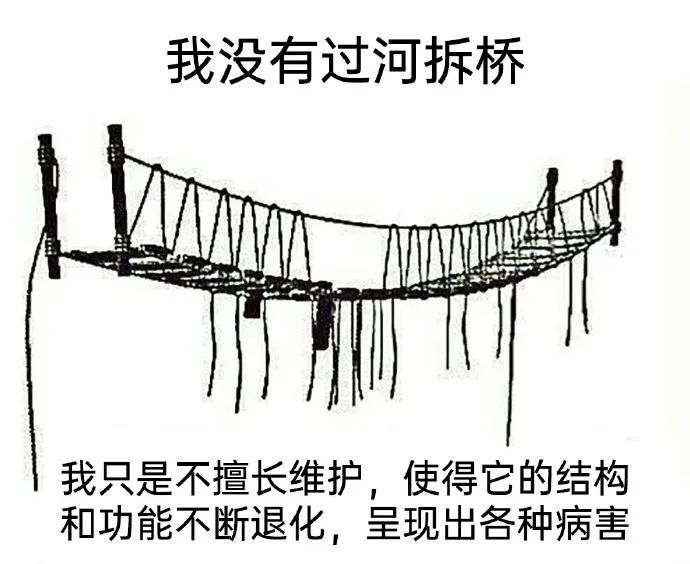 每日meme