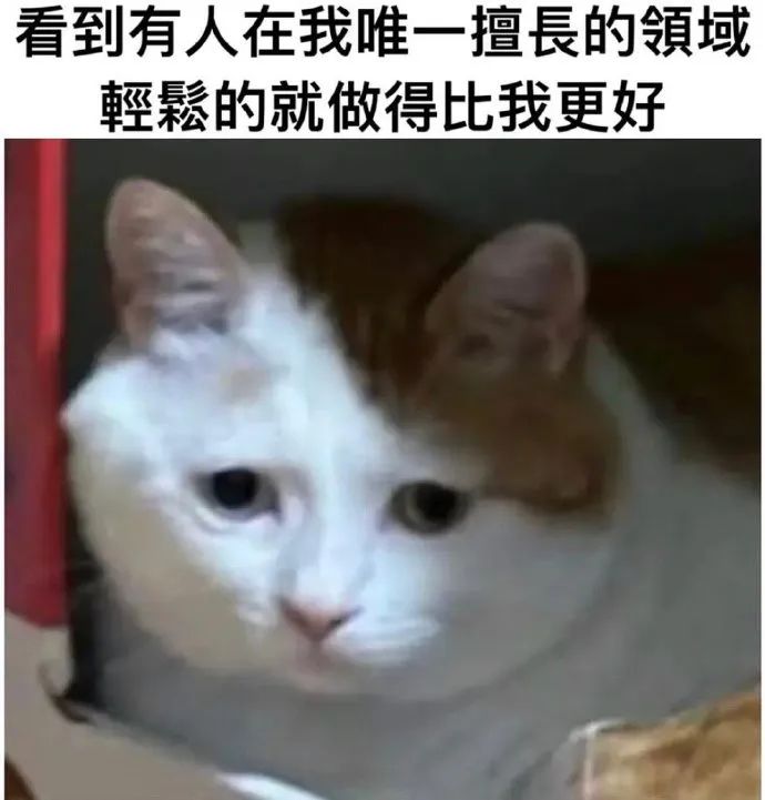 每日meme