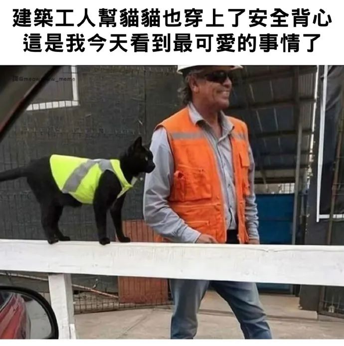 每日meme