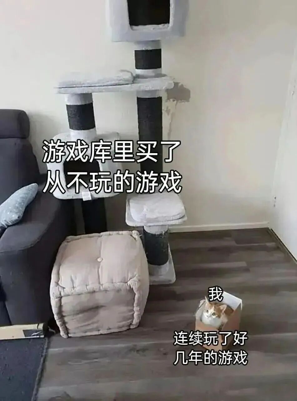 每日meme