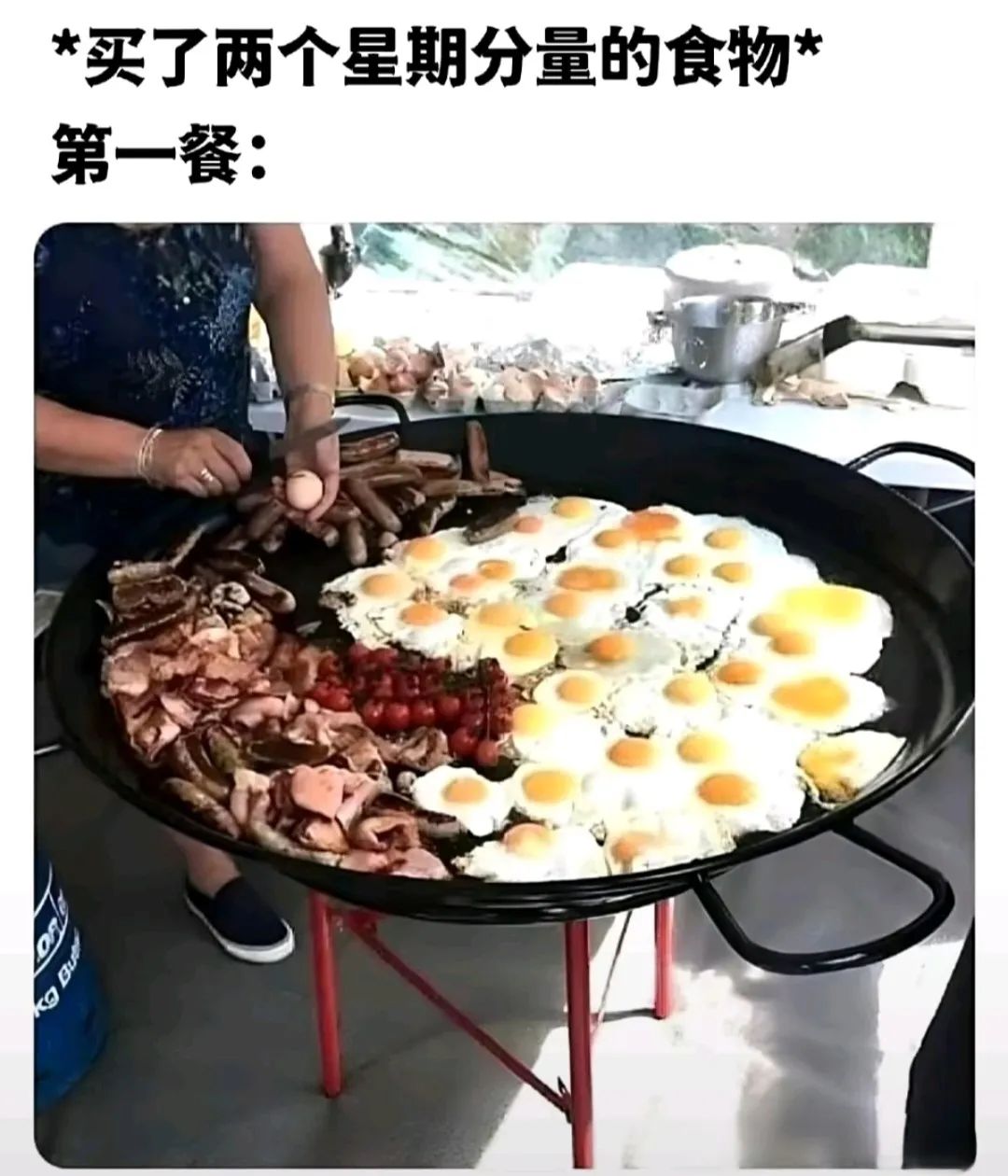 每日meme
