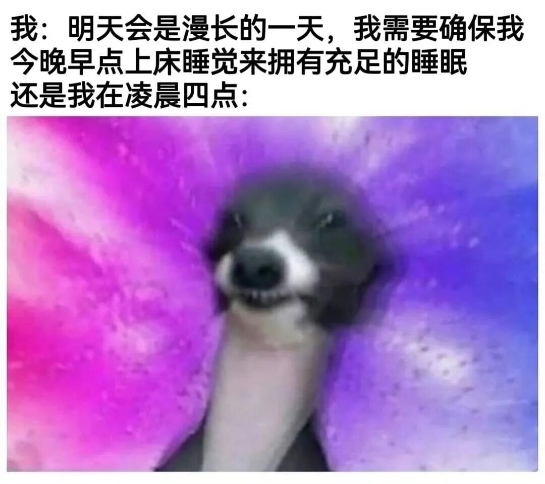 每日meme