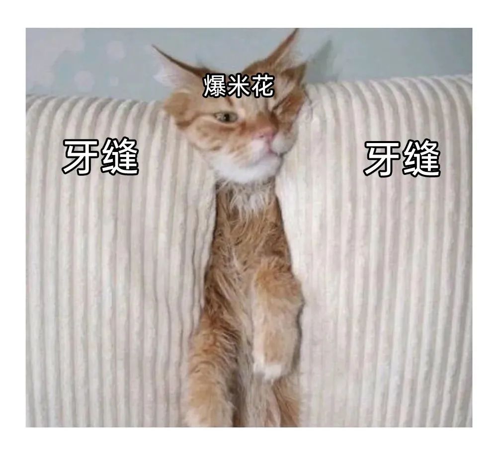 每日meme