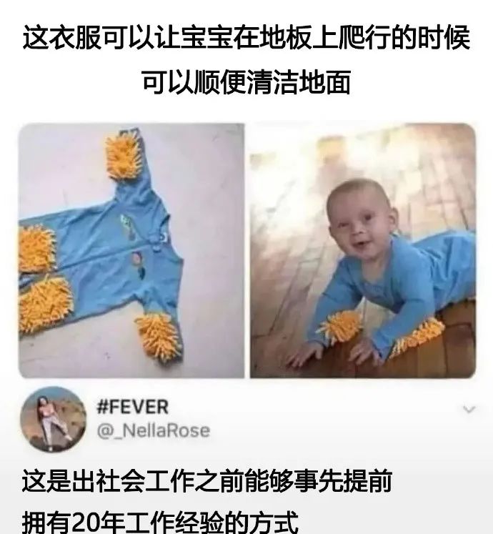 每日meme